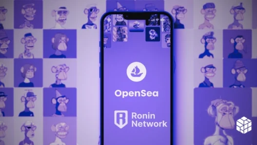 Ronin NFTs Go Live On OpenSea: Revival of NFT Craze?