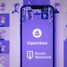 Ronin NFTs Go Live On OpenSea: Revival of NFT Craze?